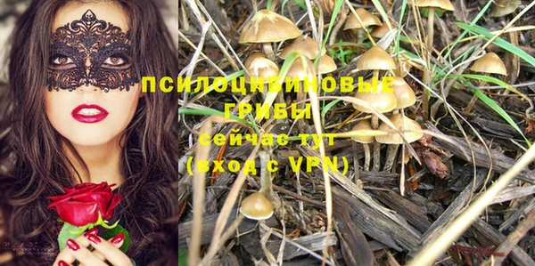 mix Алексин