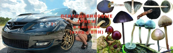 apvp Алексеевка
