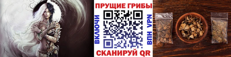Галлюциногенные грибы мухоморы где купить наркоту Сасово